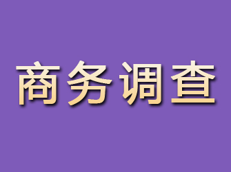 曲阳商务调查